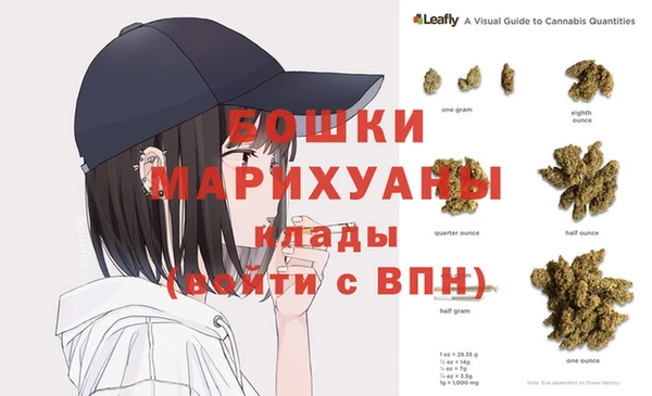 амф Гусиноозёрск