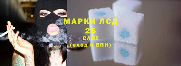 амф Гусиноозёрск