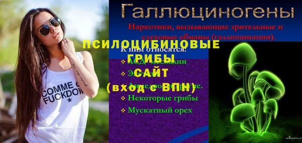 Альфа ПВП Гусь-Хрустальный