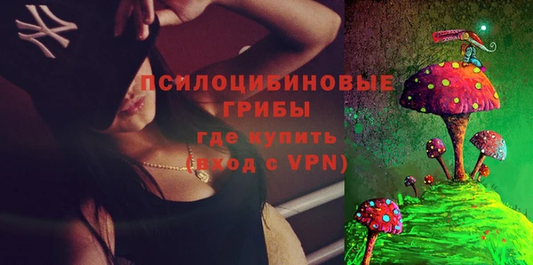 амф Гусиноозёрск