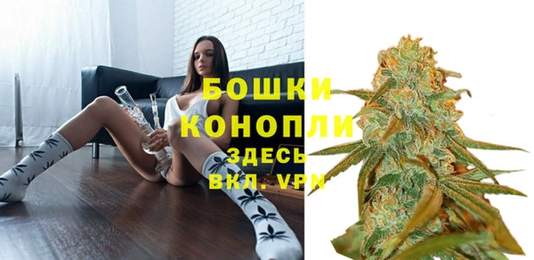 амф Гусиноозёрск